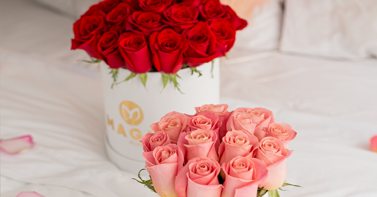 ¿QUÉ FLORES REGALAR PARA CADA OCASIÓN?