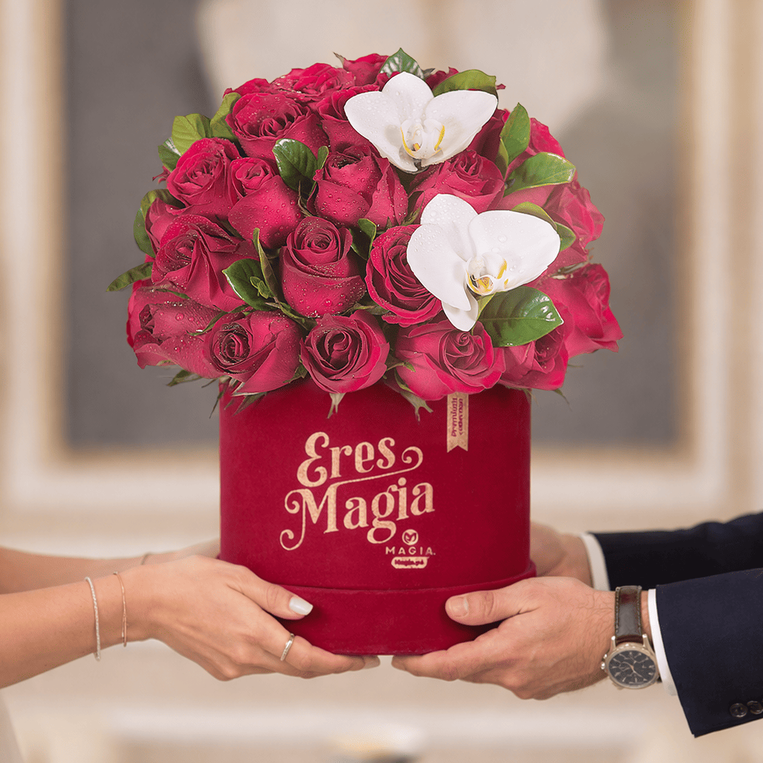 ¡Flores Premium verdaderamente Wow! 🥇 Los más elegidos.