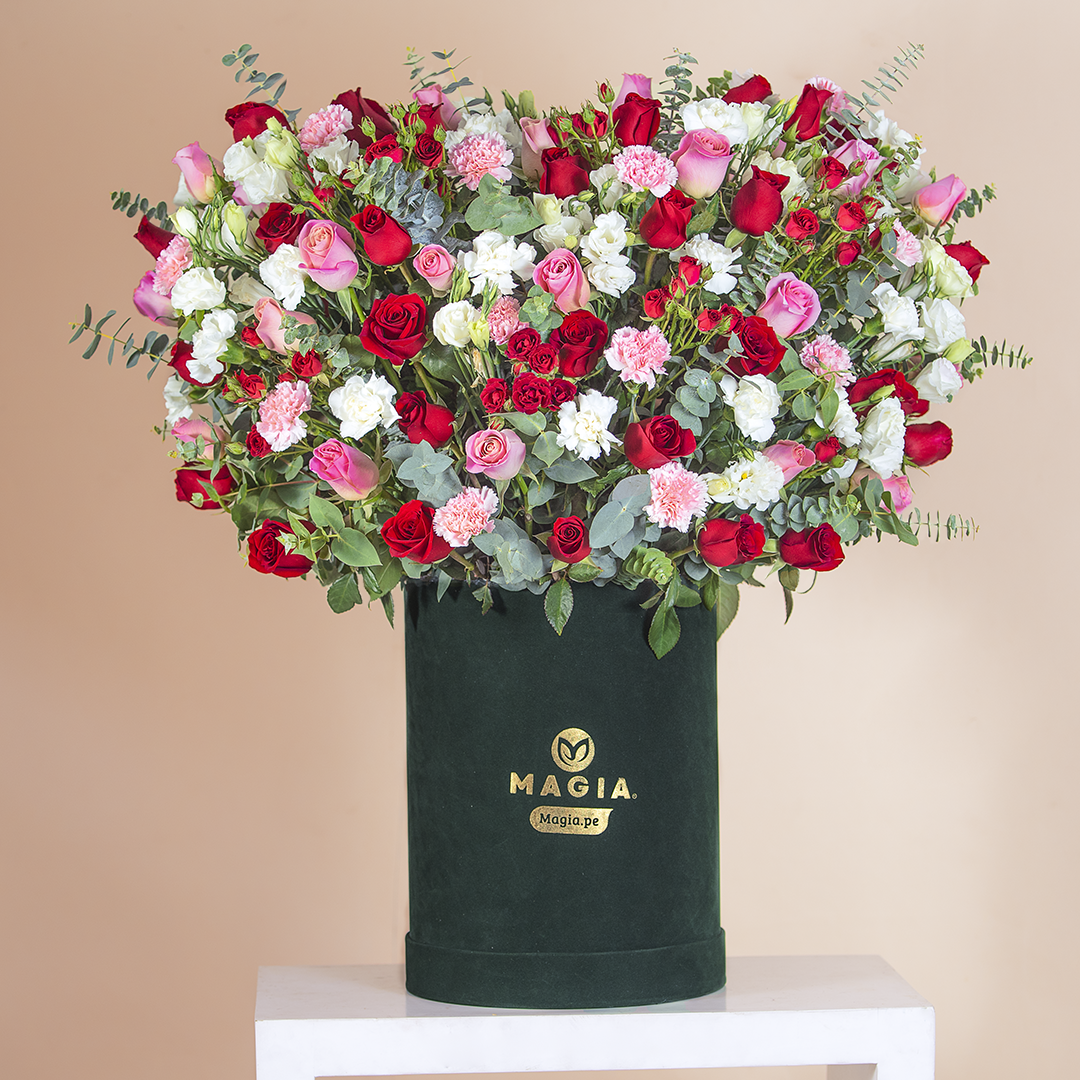 Majestic Premium Green