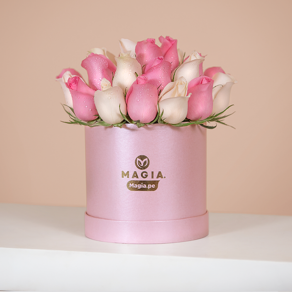 Box de 24 rosas Magia