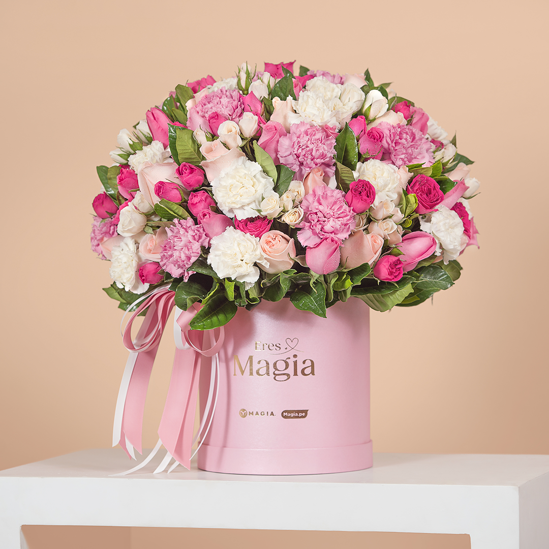 Box Antoinette