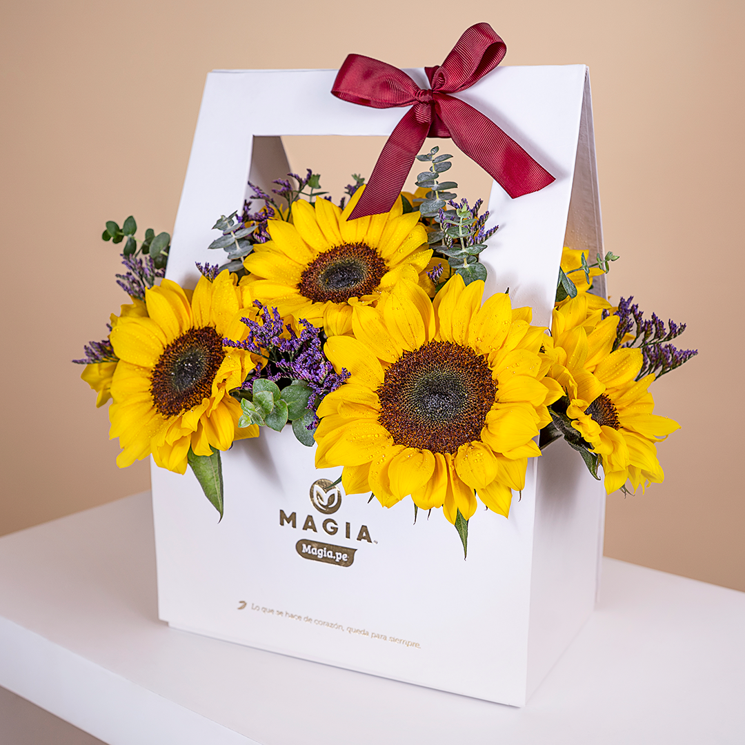 Canasta mágica "Sonríe"