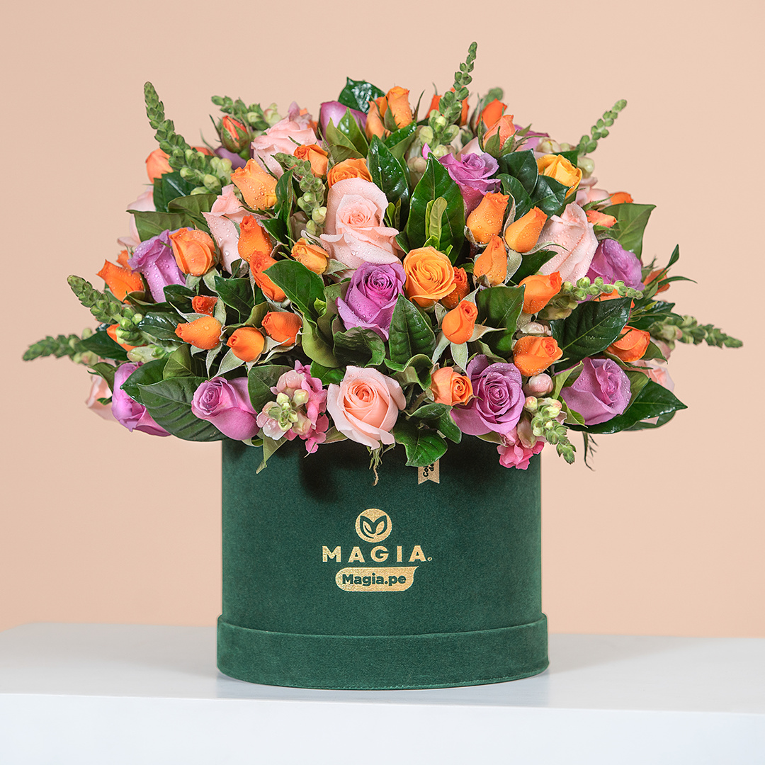 Floral Harmony Magia