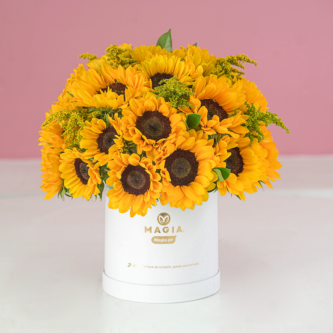 Hat Box Girasoles