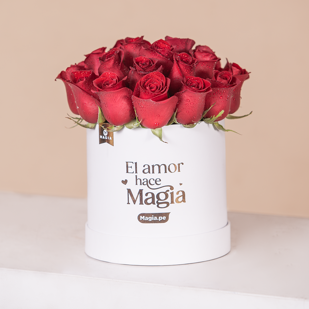Box Love - 24 Rosas