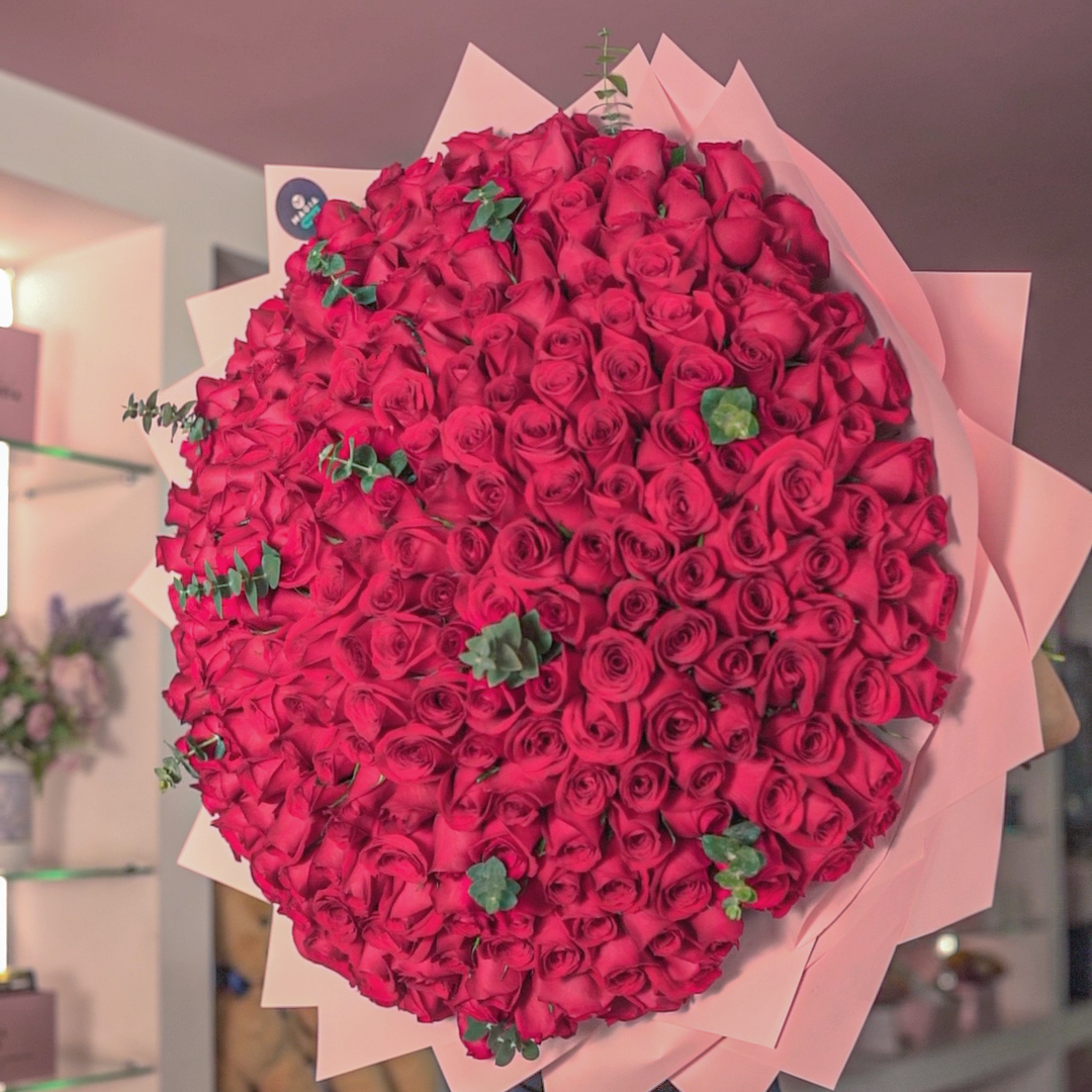 Ramo Premium 300 rosas