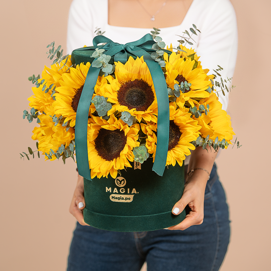 Girasol Green Velvet