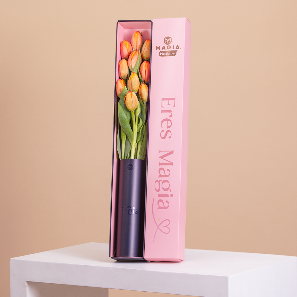 Caja Magia Slim 10 Tulipanes
