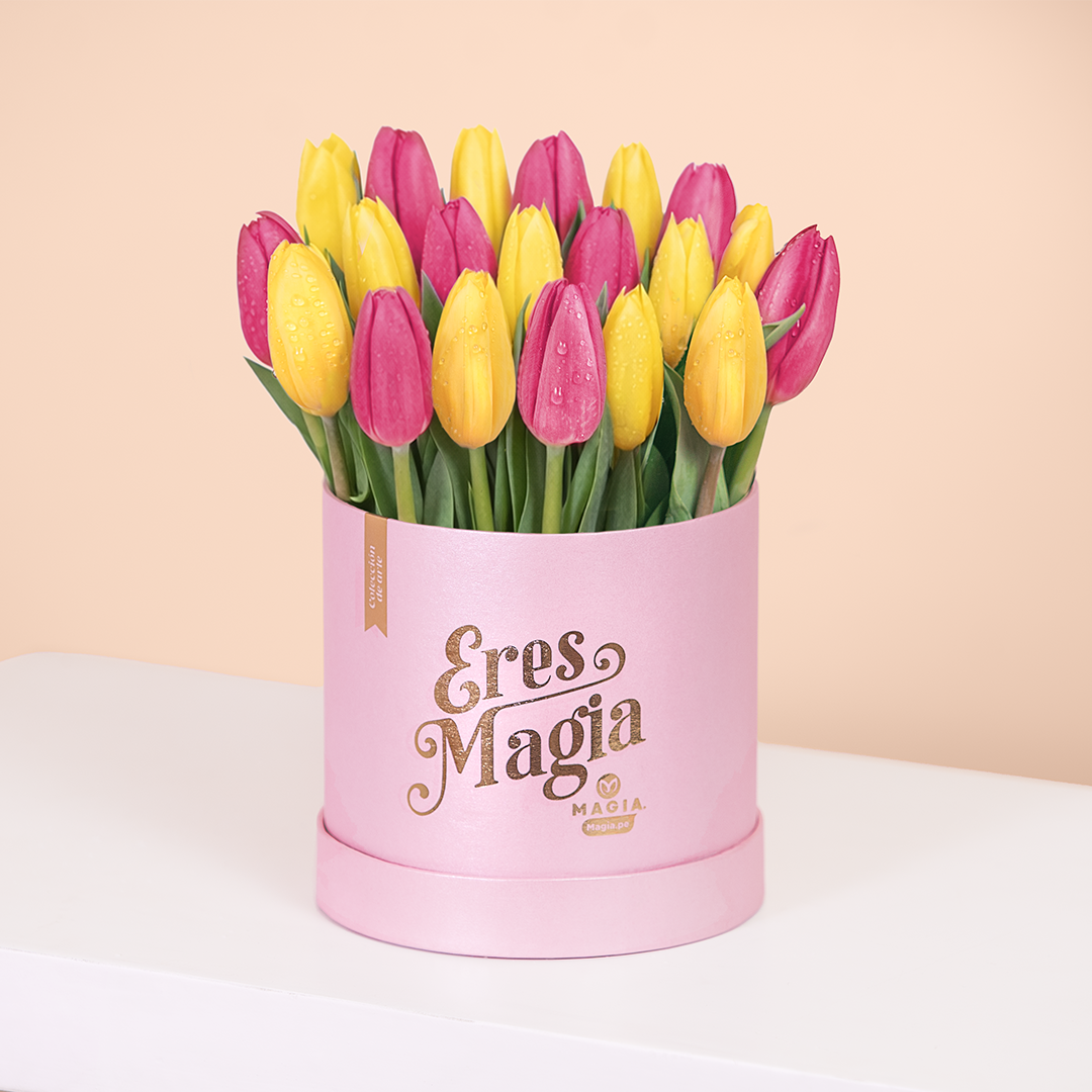 Box  Magia de 20 Tulipanes San Valentín