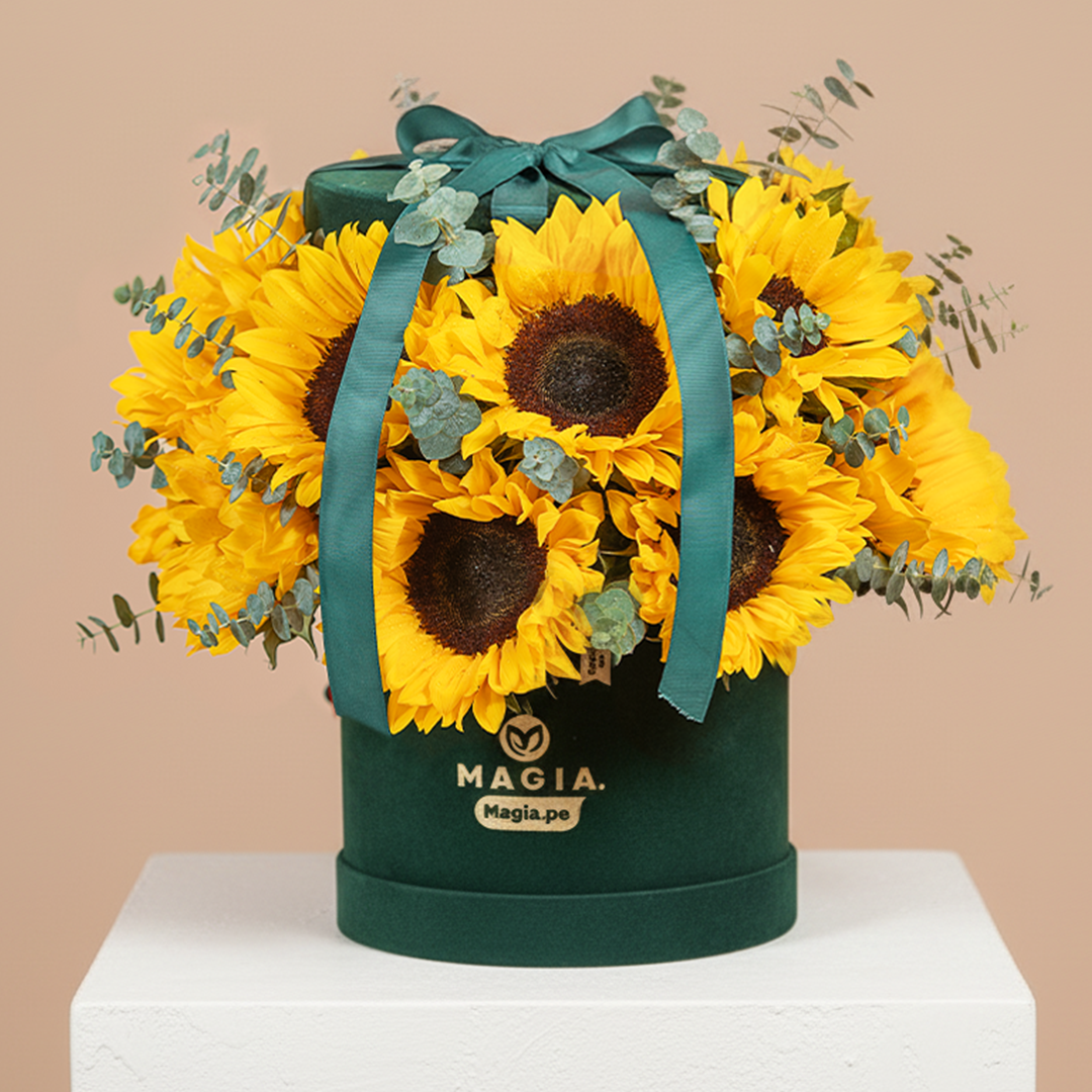 Girasol Green Velvet