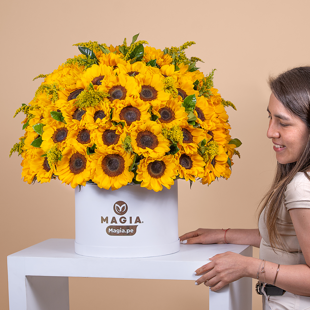 Majestic de Girasoles