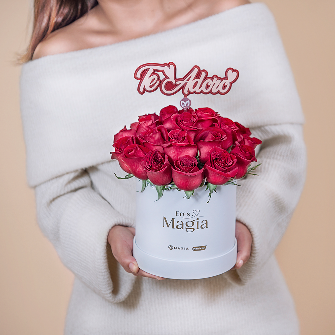 Box Love - 24 Rosas