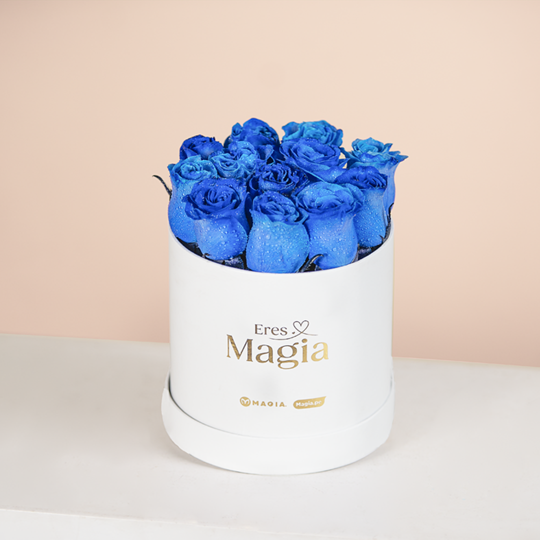 Box 12 rosas azul