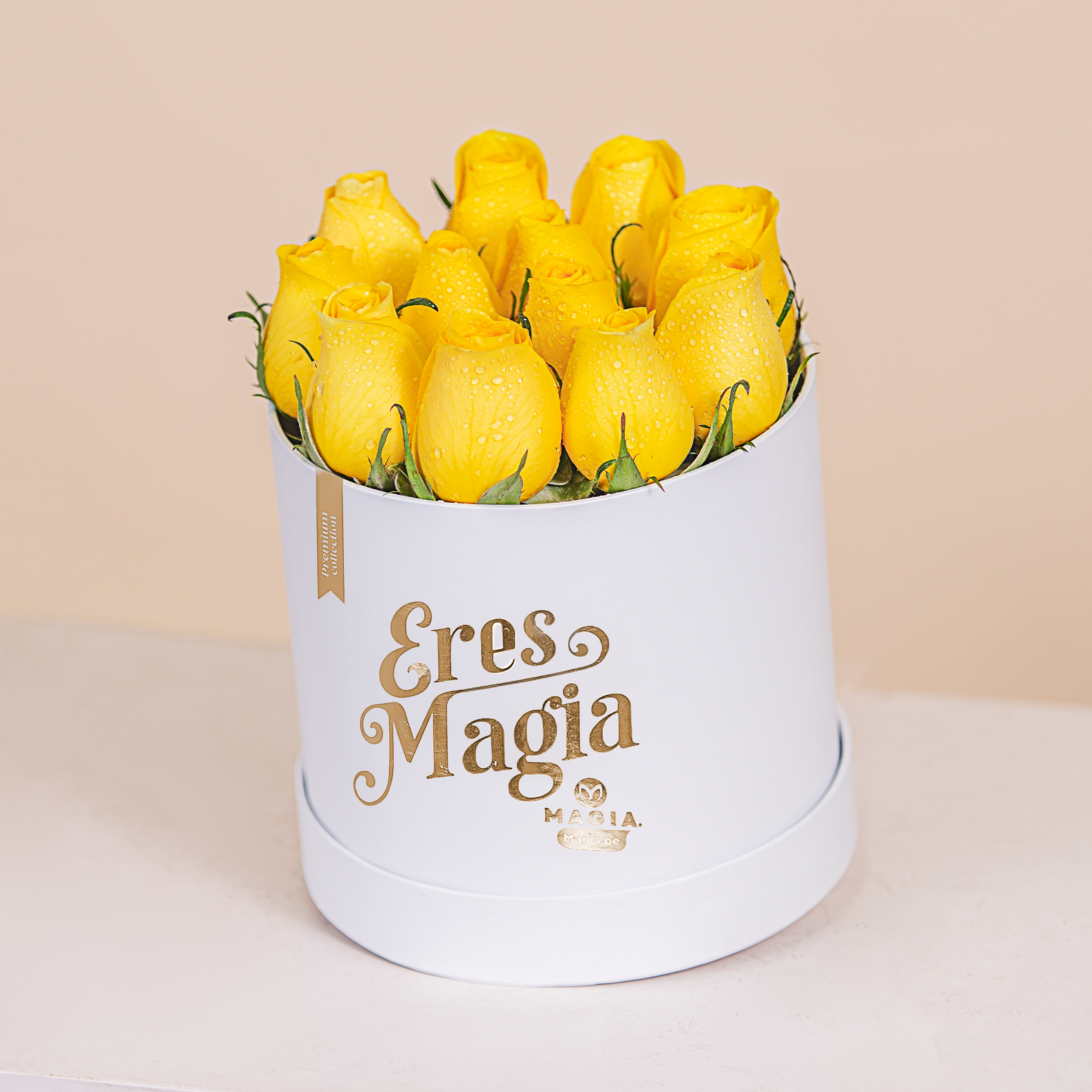 Box 12 rosas amarillas