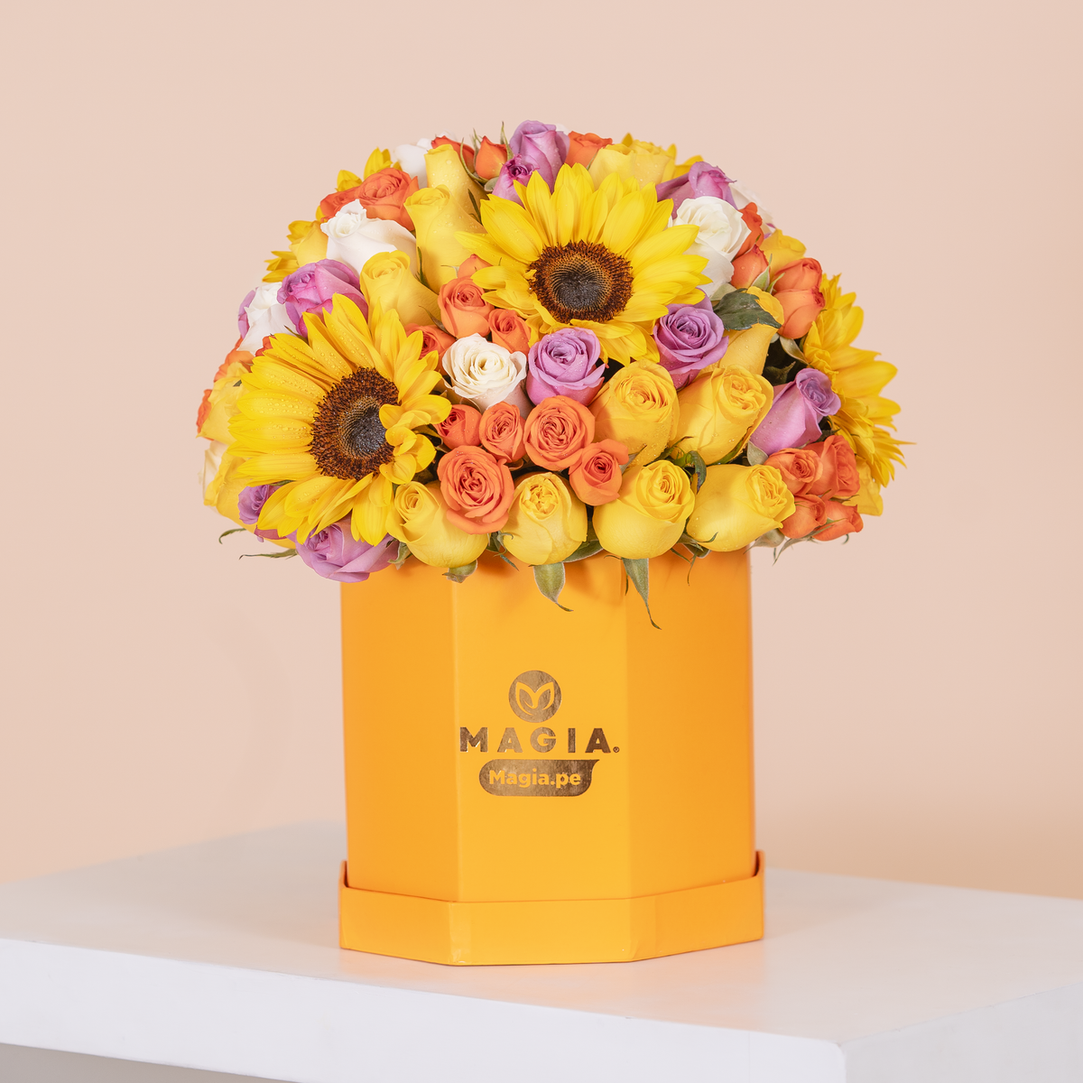 Box Soleil