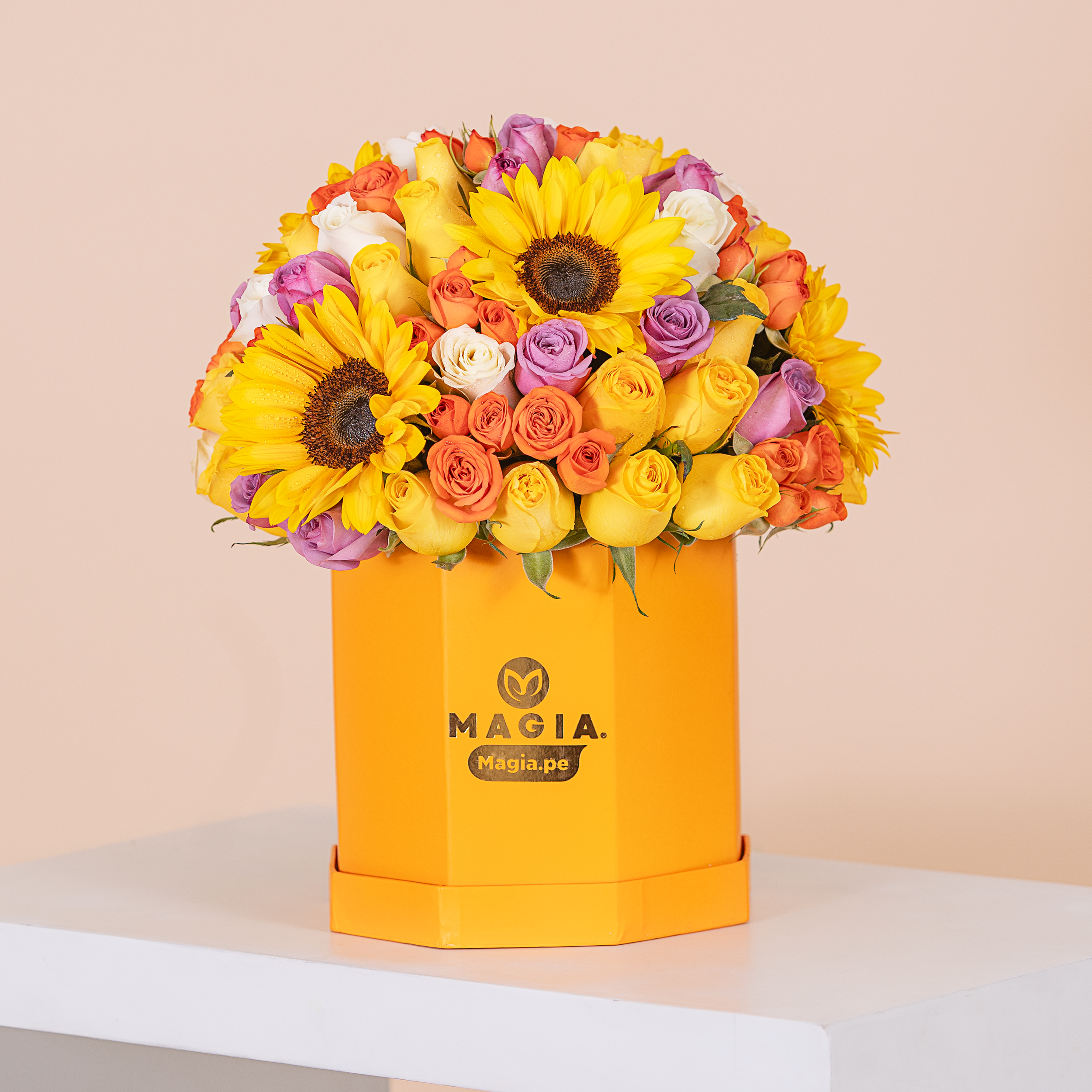 Box Soleil