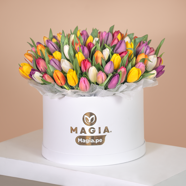 MAJESTIC 120 TULIPANES
