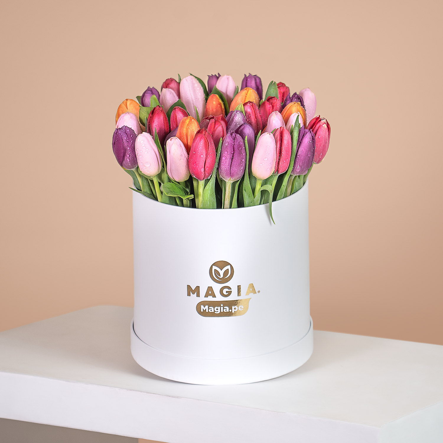 Box 40 Tulipanes