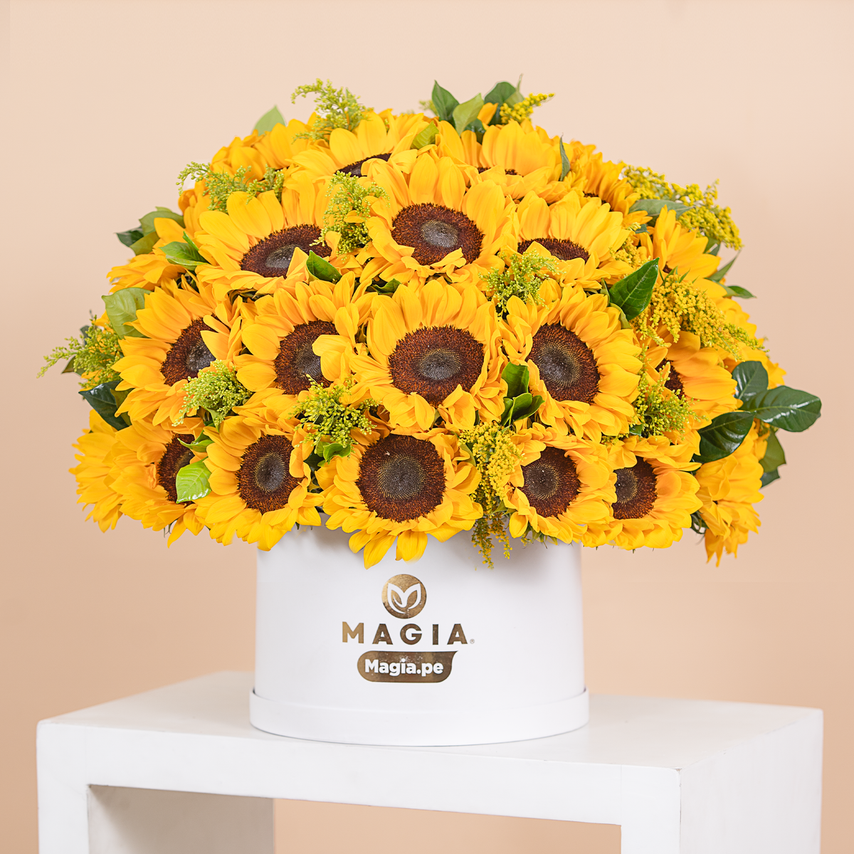 Majestic de Girasoles