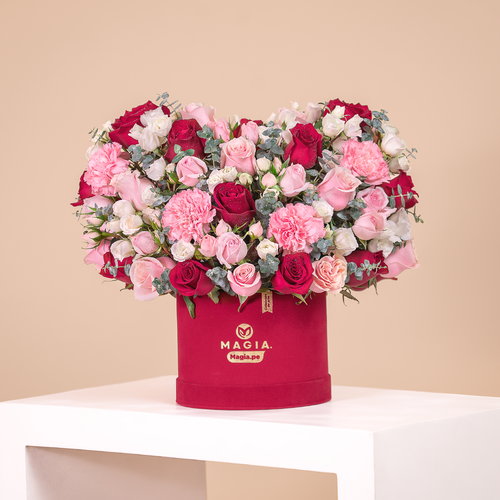 Box Premium Velvet