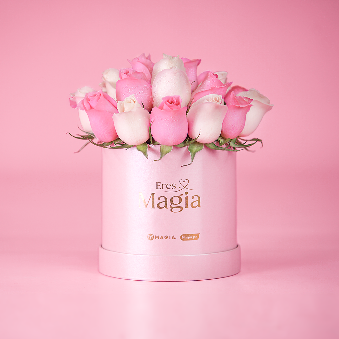 Box de 24 rosas Magia