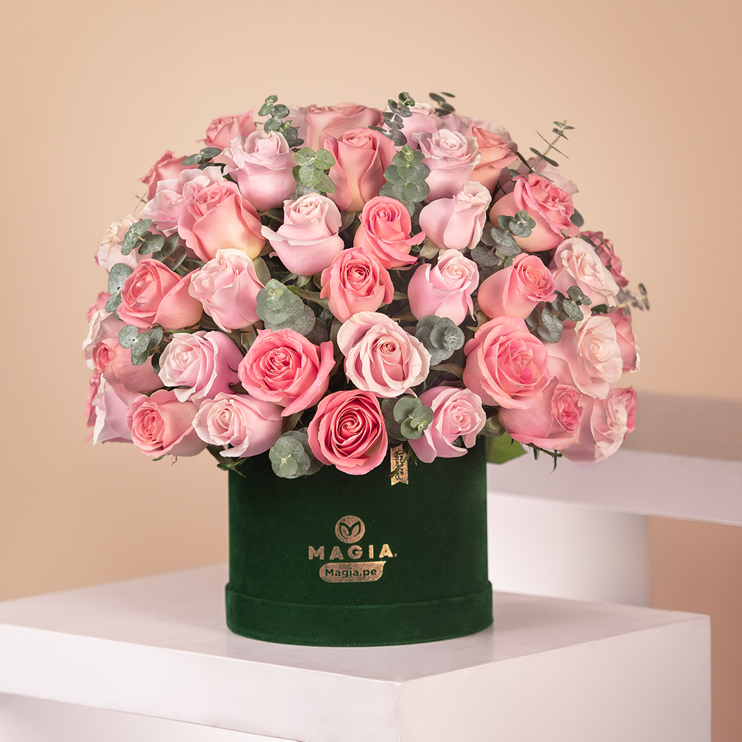 MAGIC PREMIUM PASTEL