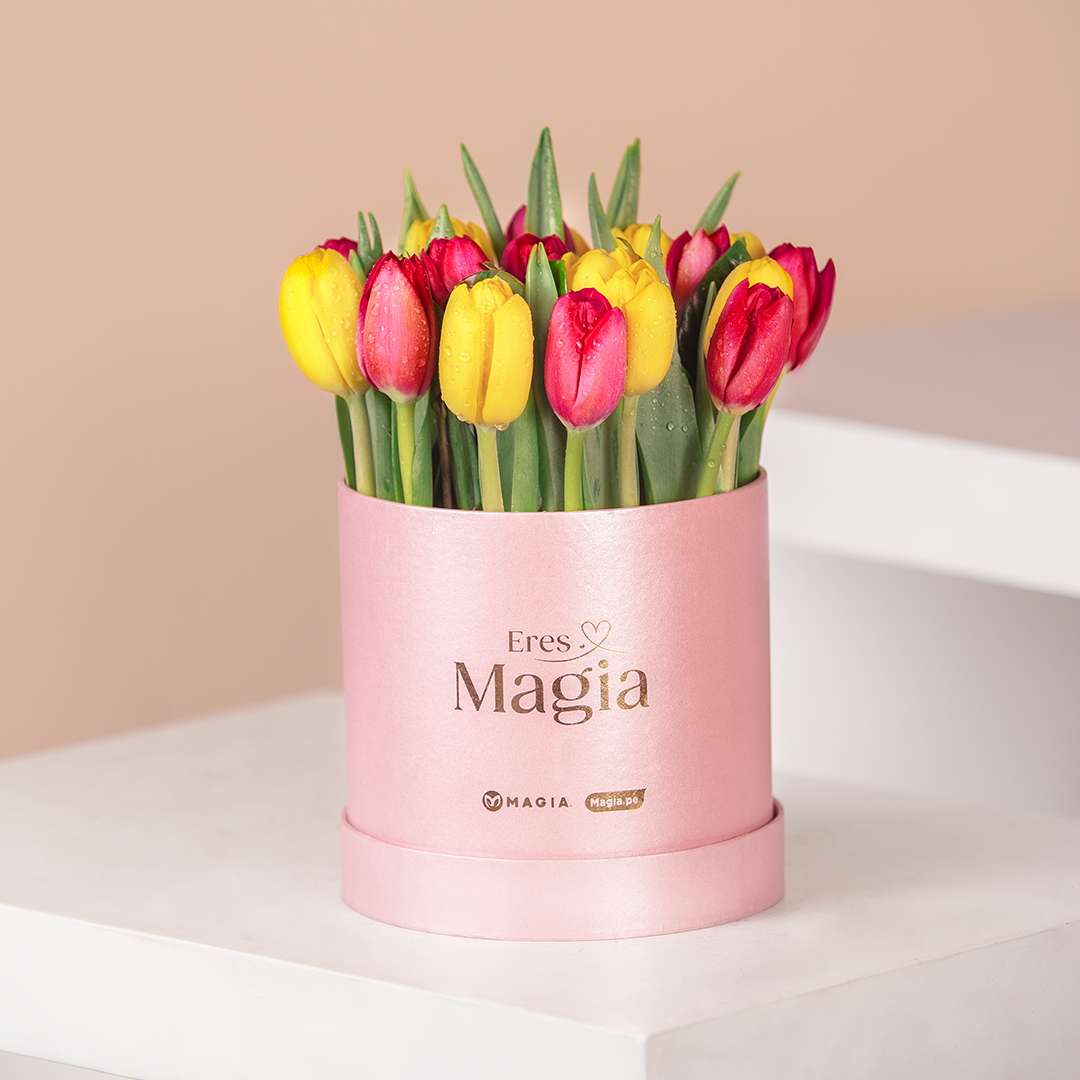 BOX TULIP ERES MAGIA