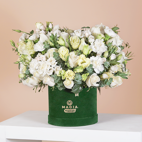 Box Premium Green