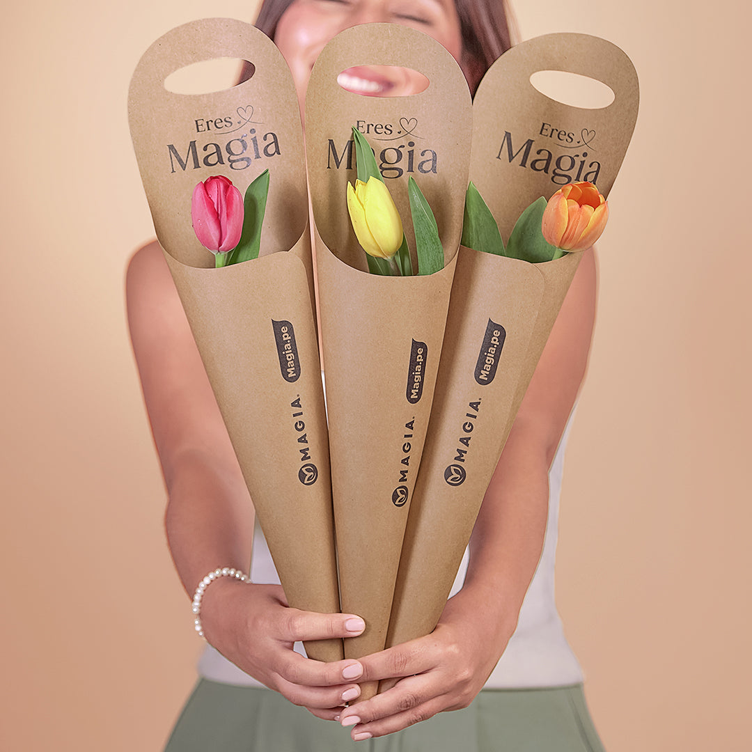 CORP CONO DE TULIPAN