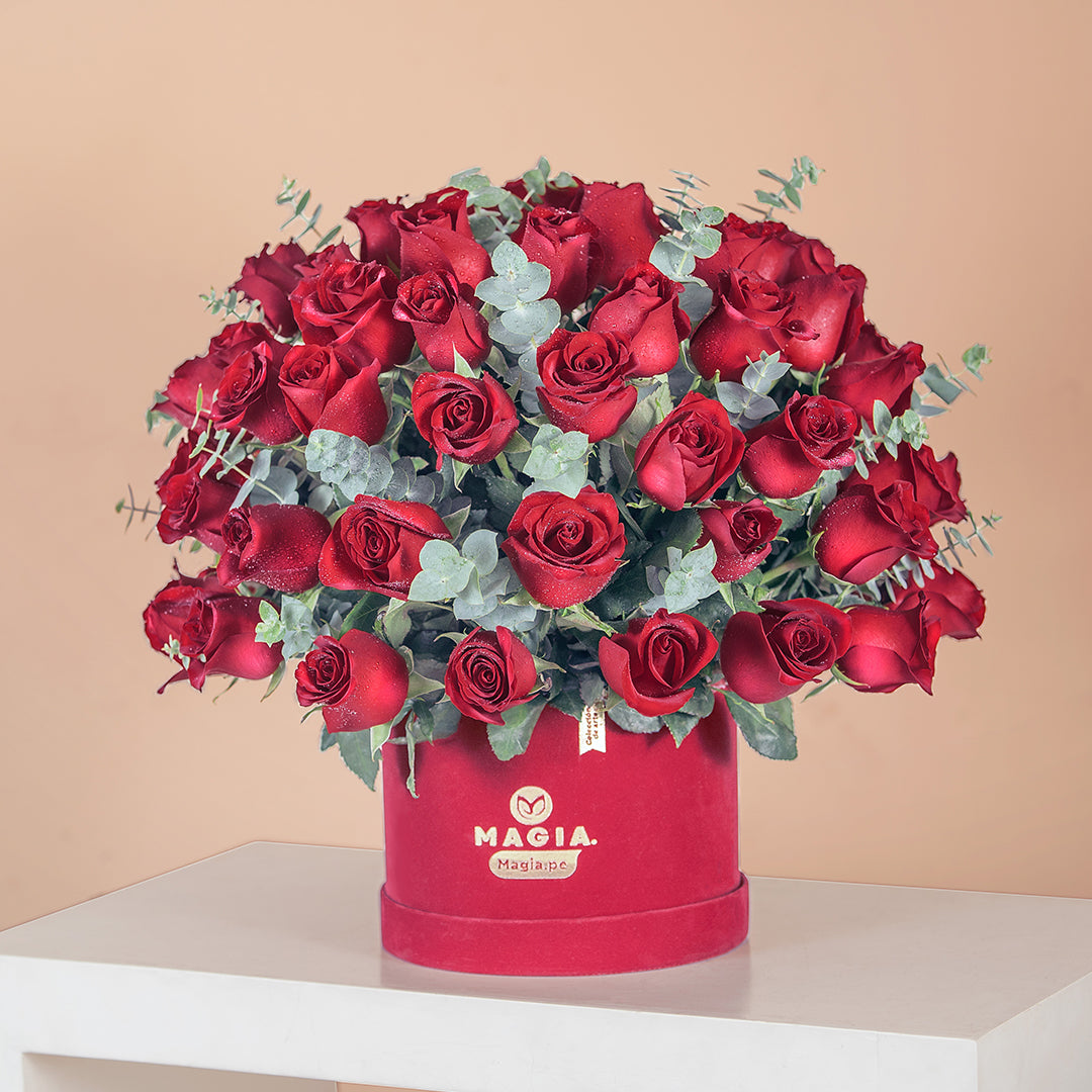 Magic Premium Red Passion