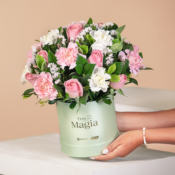 Box Premium Bella