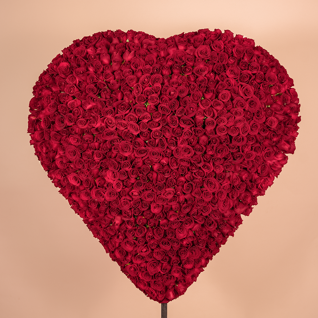 CORAZÓN MÁGICO 650 ROSAS