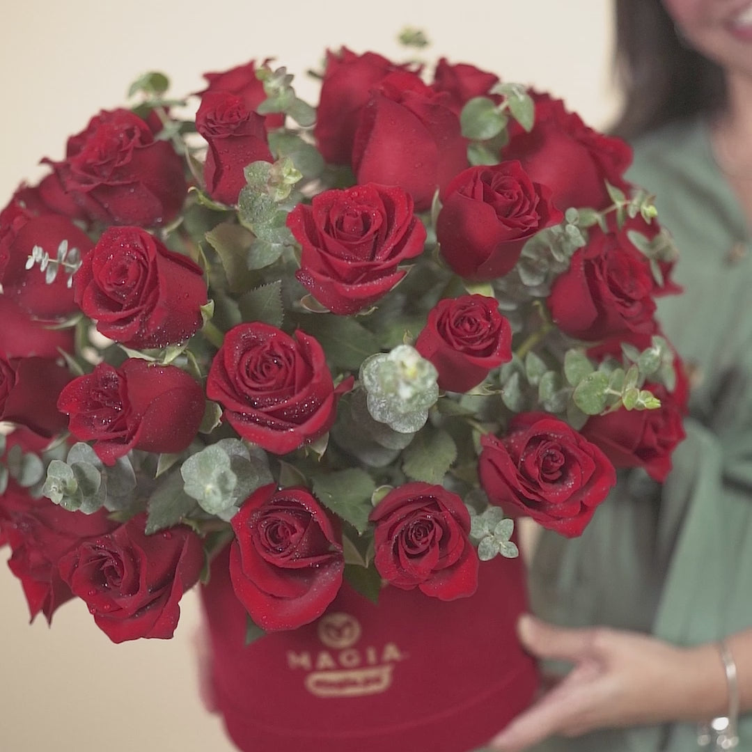 Box Red Premium