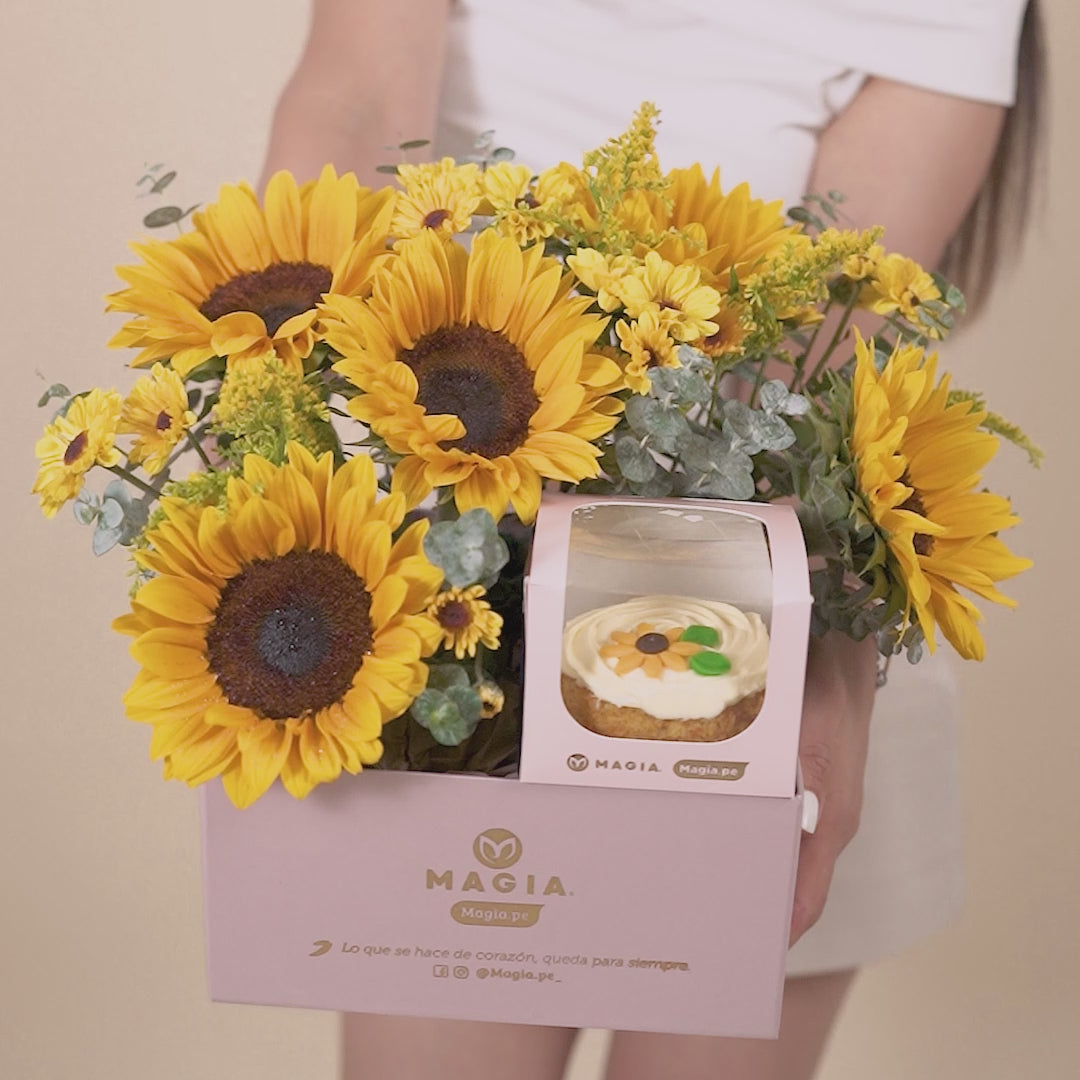 Gift Box Sunrise