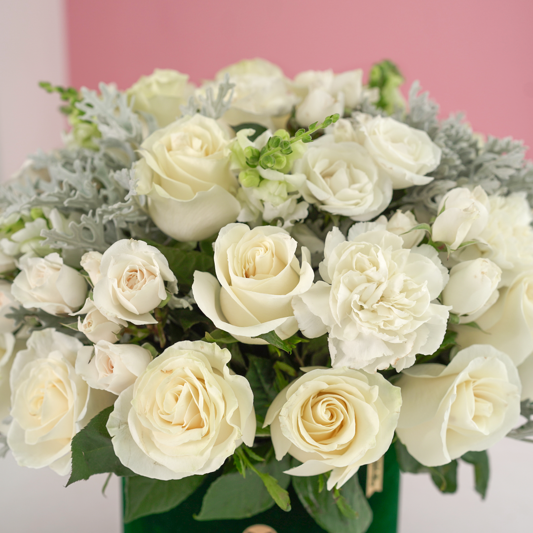 BOX "NO TE OLVIDARE"