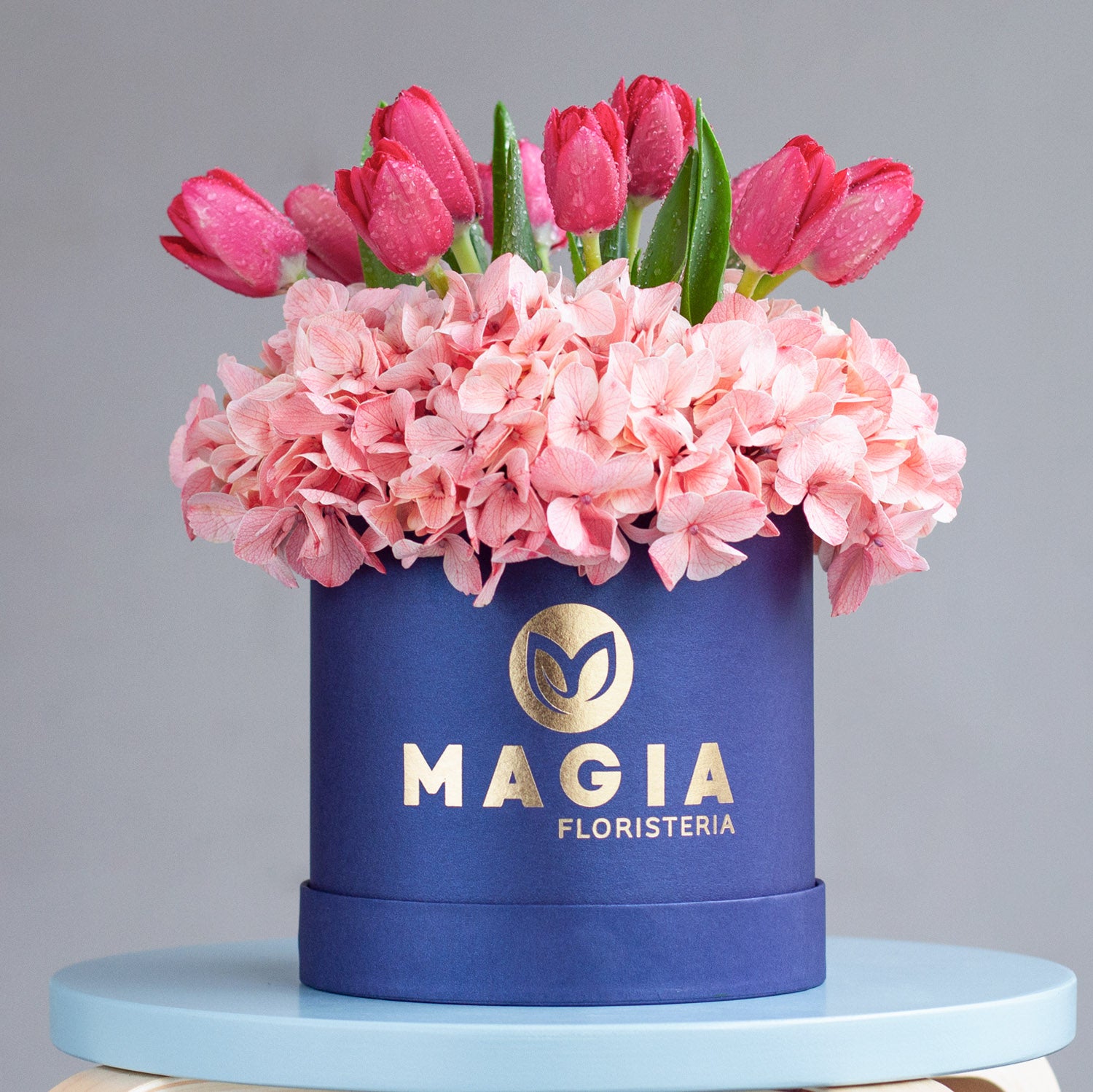 Mini box Magia