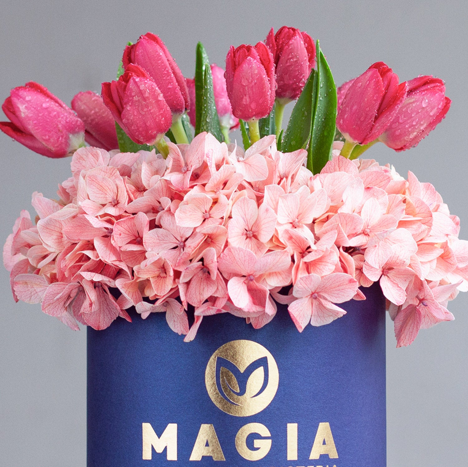 Mini box Magia