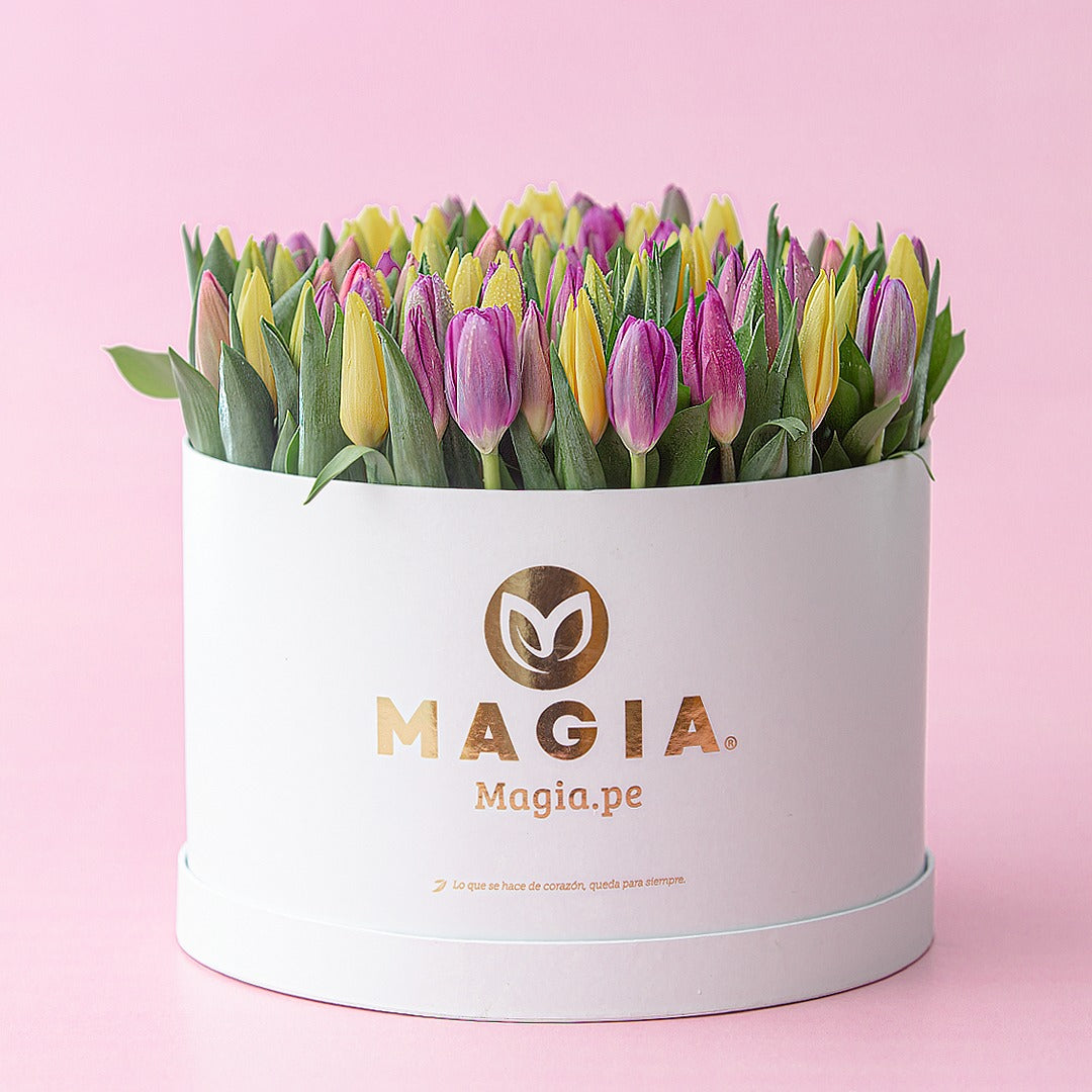 Box Golden Magia 80 tulipanes