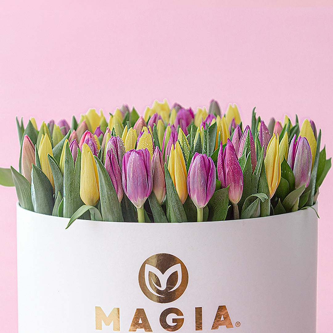 Box Golden Magia 80 tulipanes